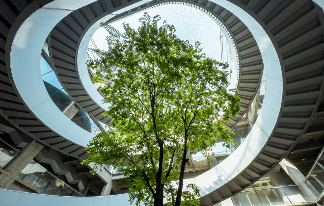 Sustainable Innovation at ALTEN: Definition and Key Figures